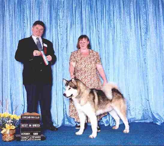 Best of Breed
