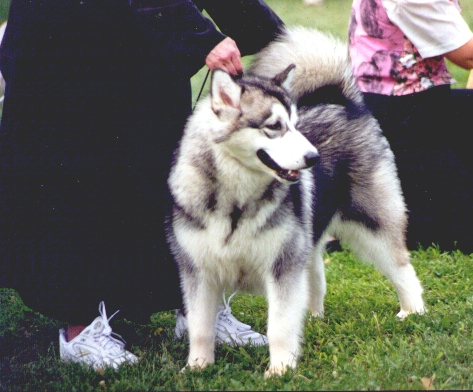 ILLA IN THE GROUP RING AT 7 MONTHS