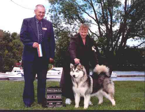 Best of Breed