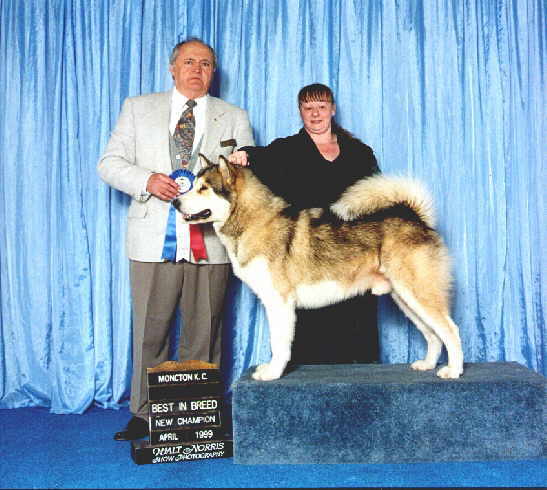 Best of Breed & New Champion