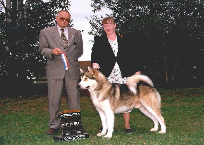 Best of Breed