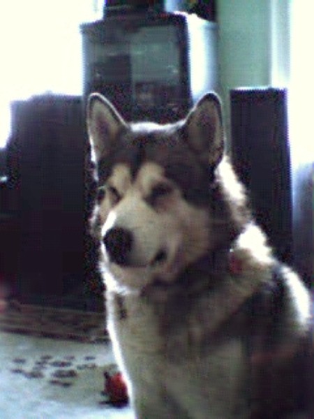 Sam